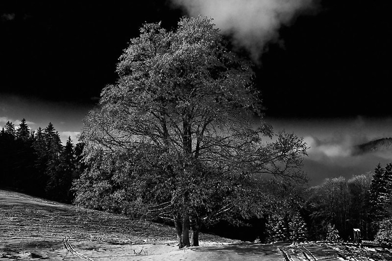 heimat-3.jpg