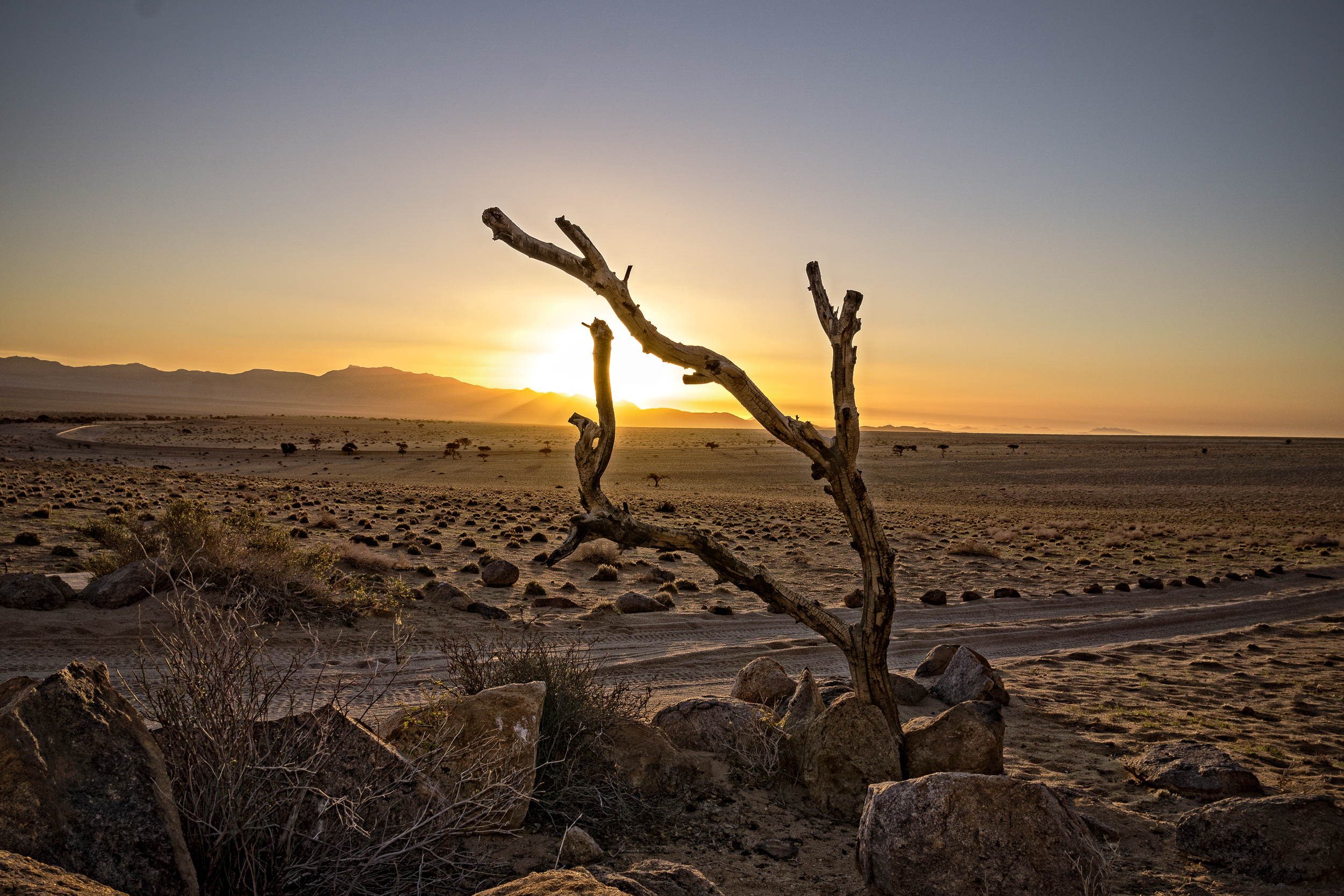 DSC01081 Bearbeitet 2