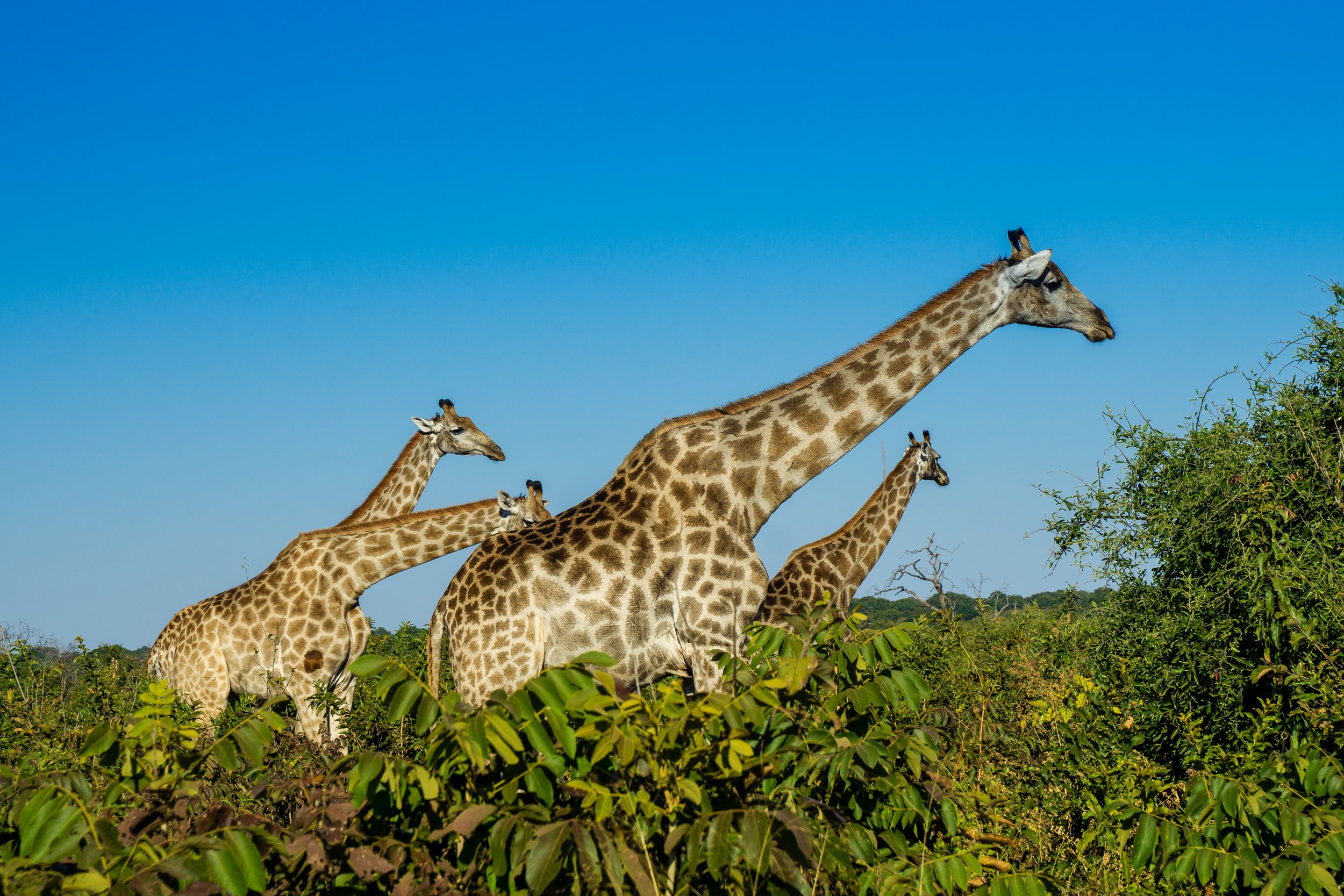 Urlaub2018 45S 00046