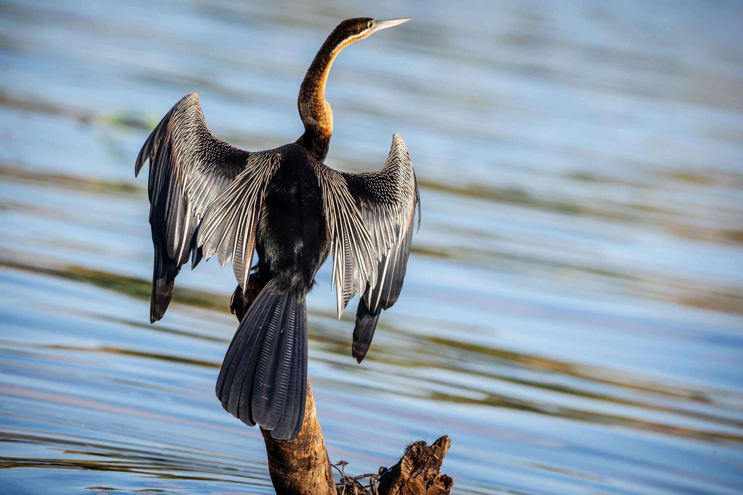 Urlaub2018 45S 00227