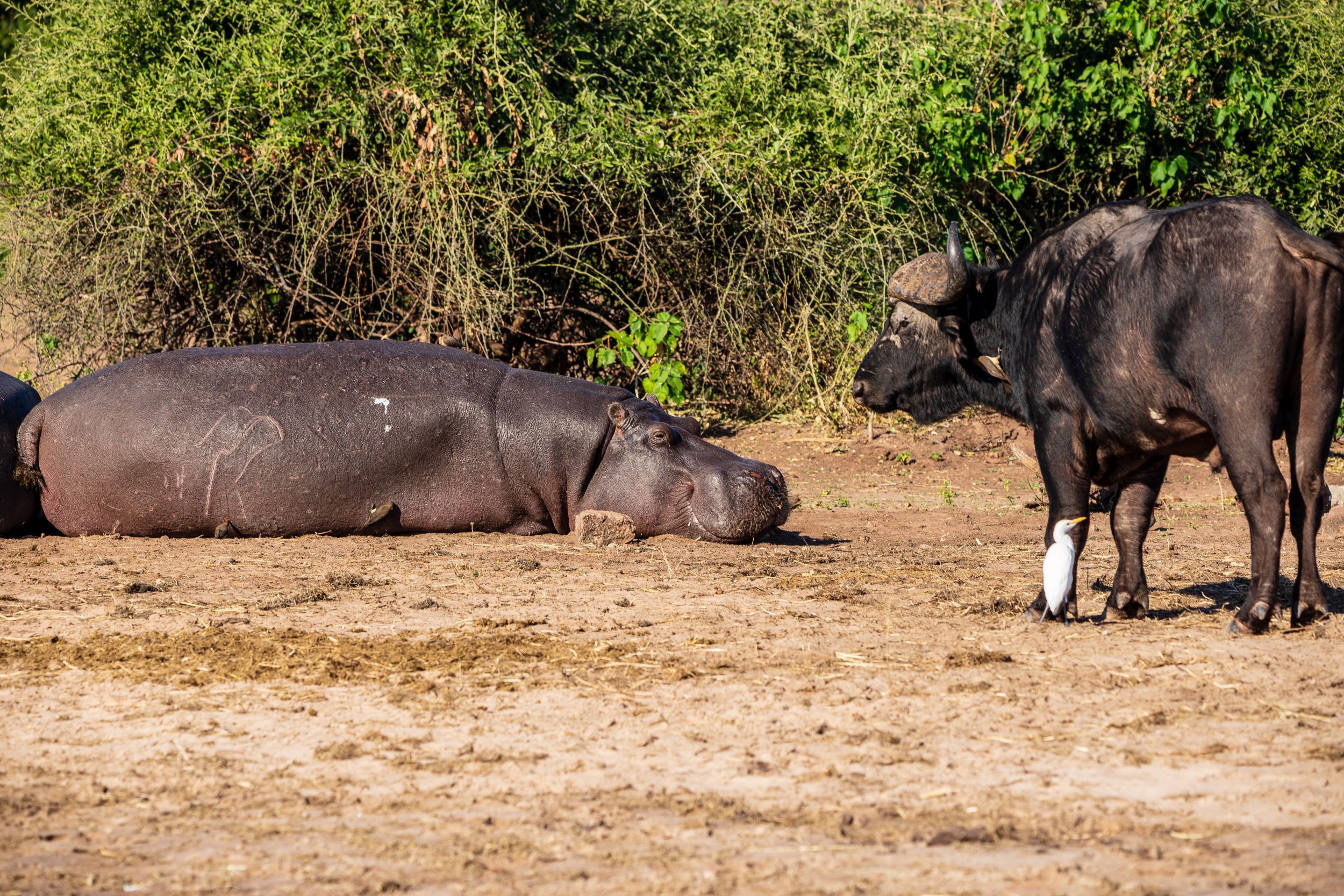 Urlaub2018 45S 00248