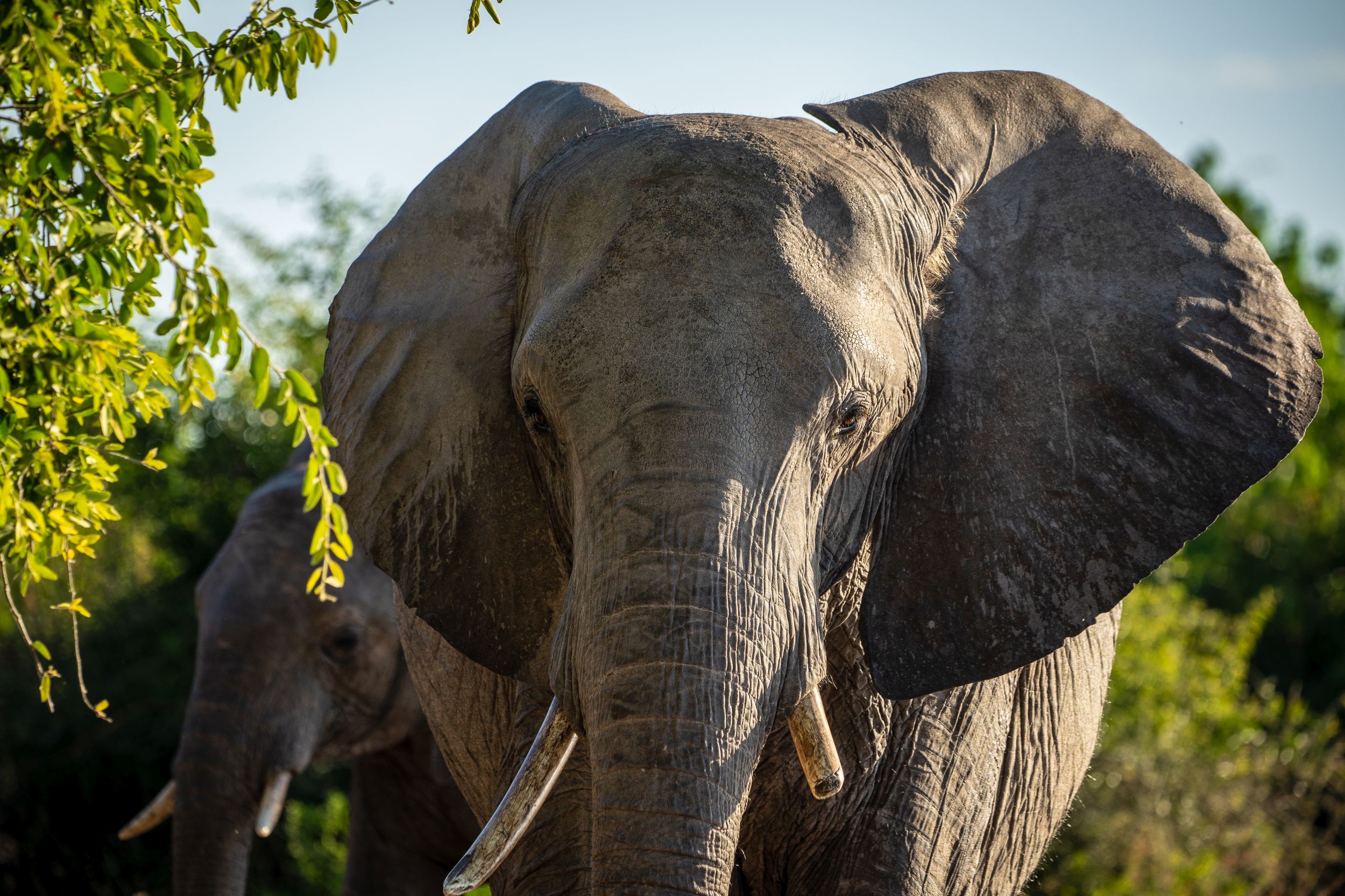 Urlaub2018 45S 00327