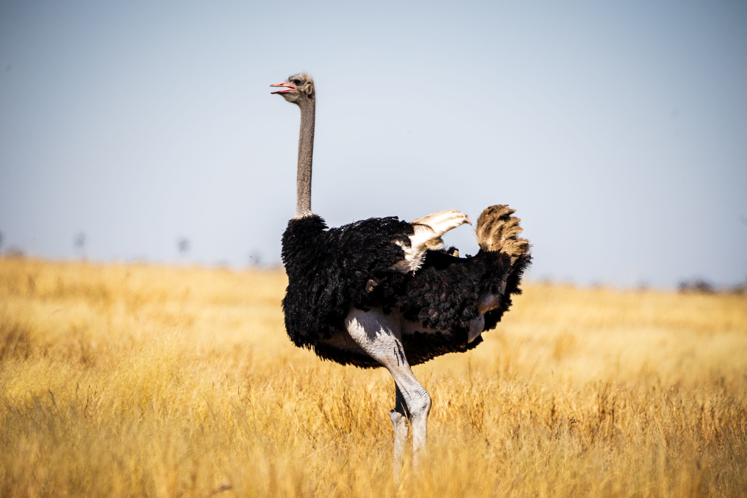 Urlaub2018 45S 00975