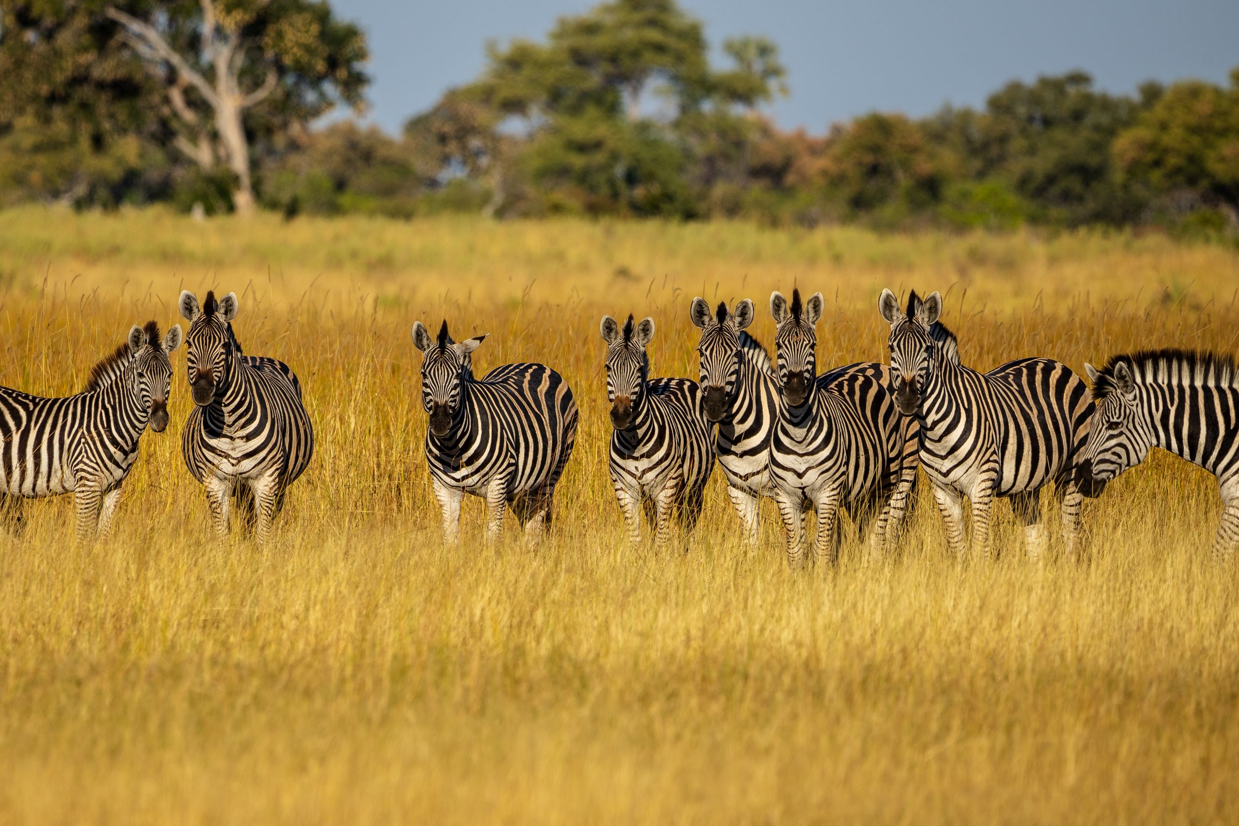 Urlaub2018 45S 01084