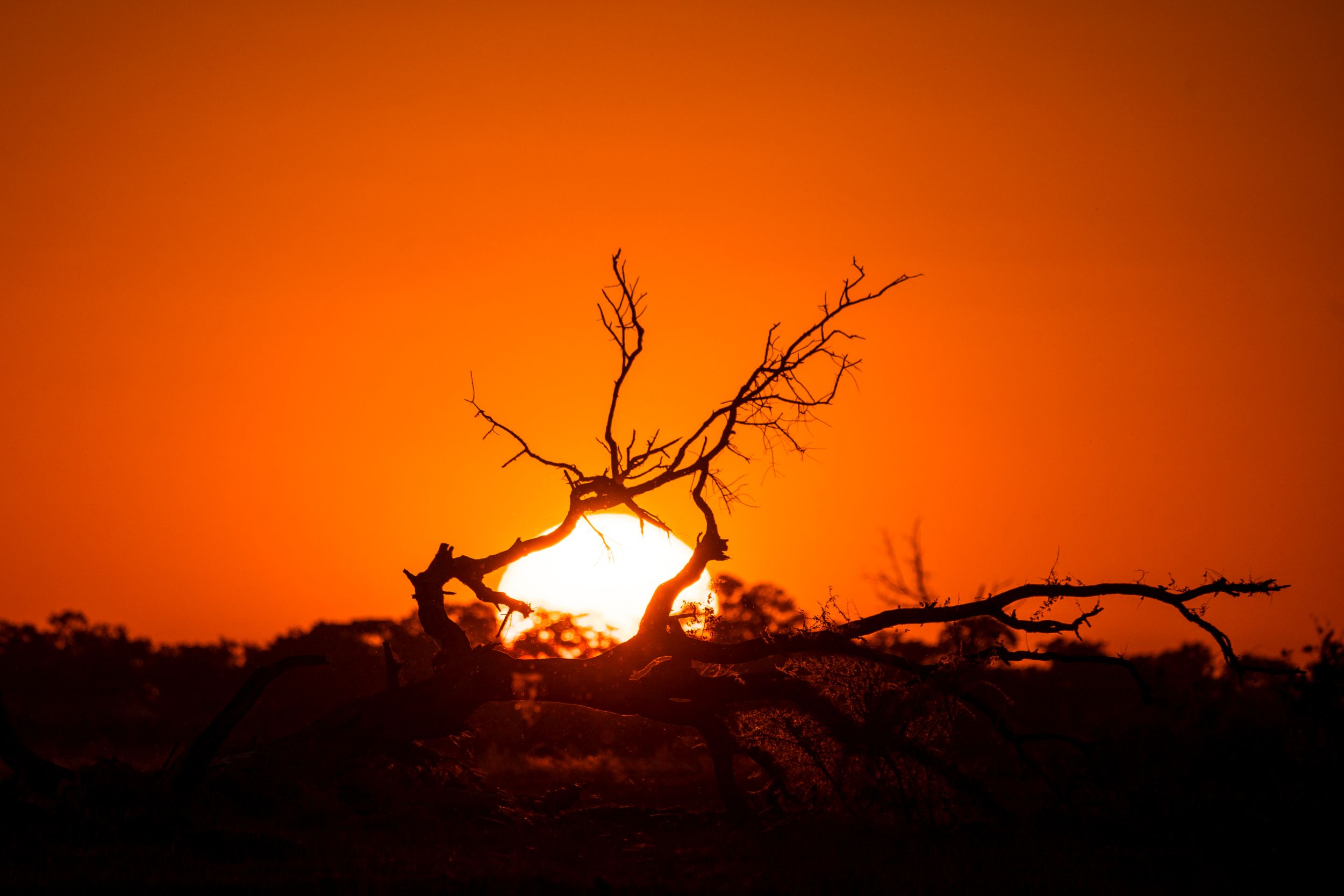 Urlaub2018 45S 01206