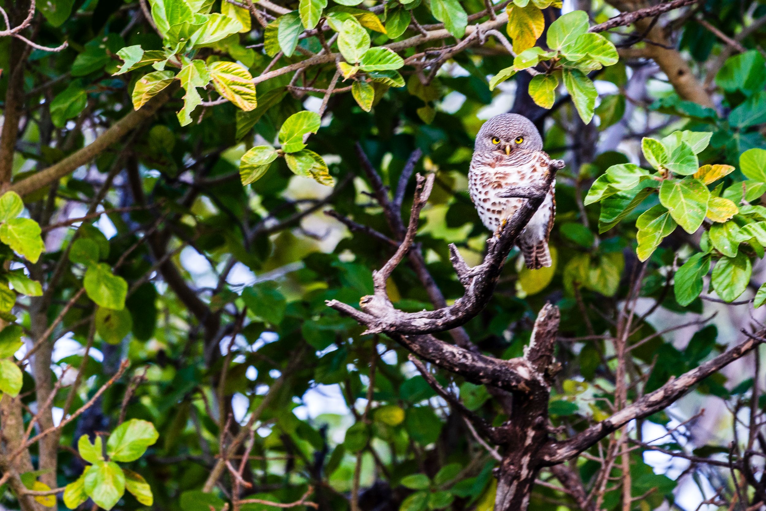 Urlaub2018 45S 012271