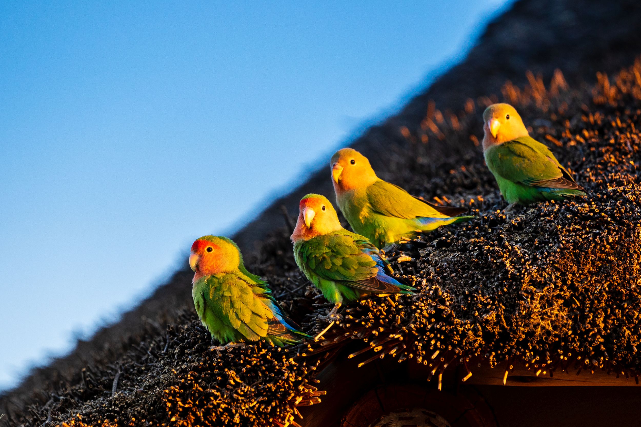 Urlaub2018 45S 09381