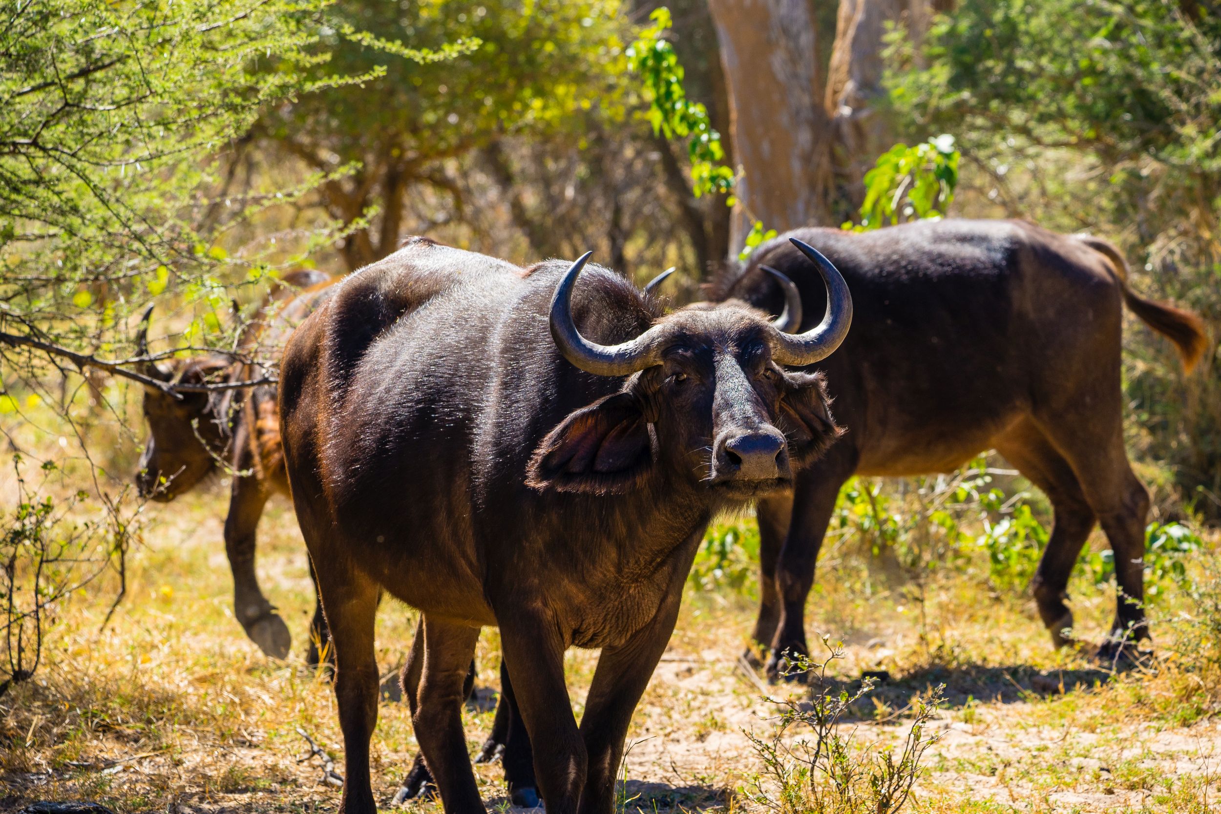 Urlaub2018 45S 09871