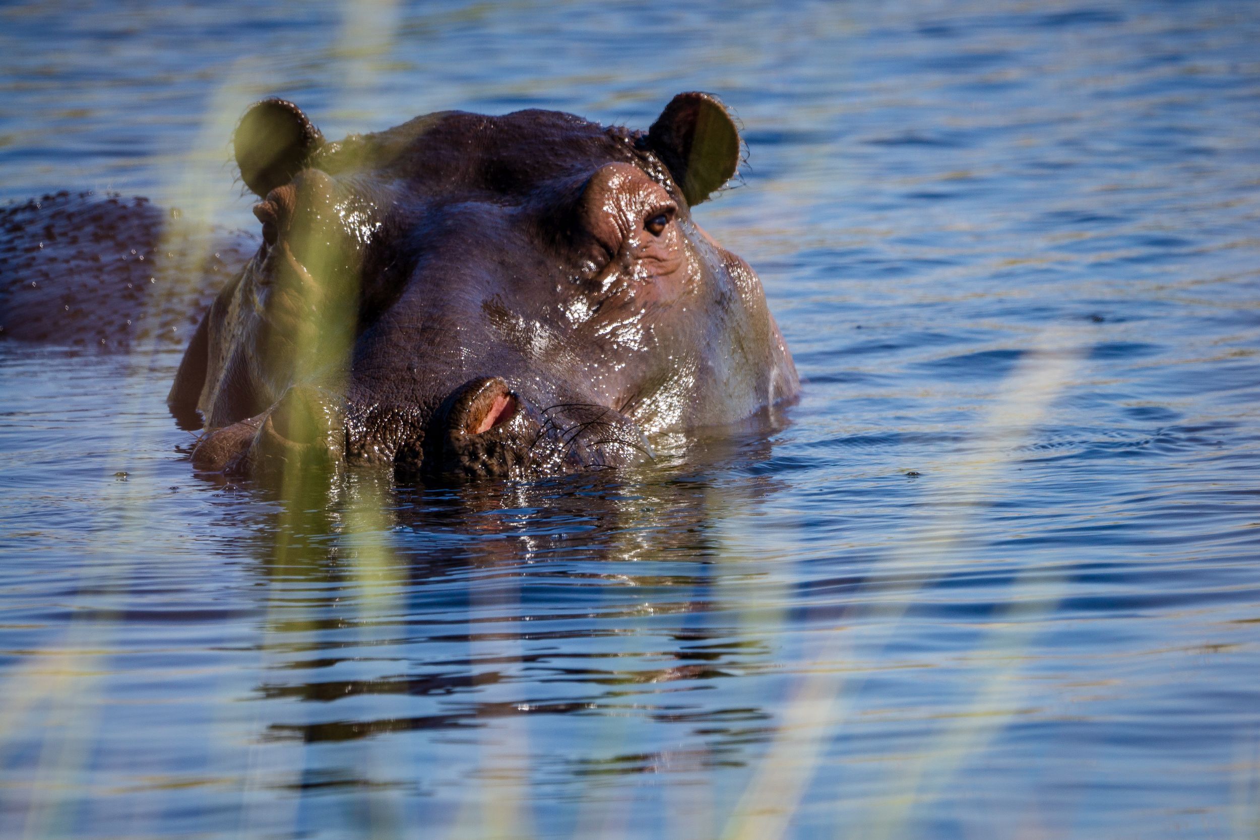 Urlaub2018 45S 09993