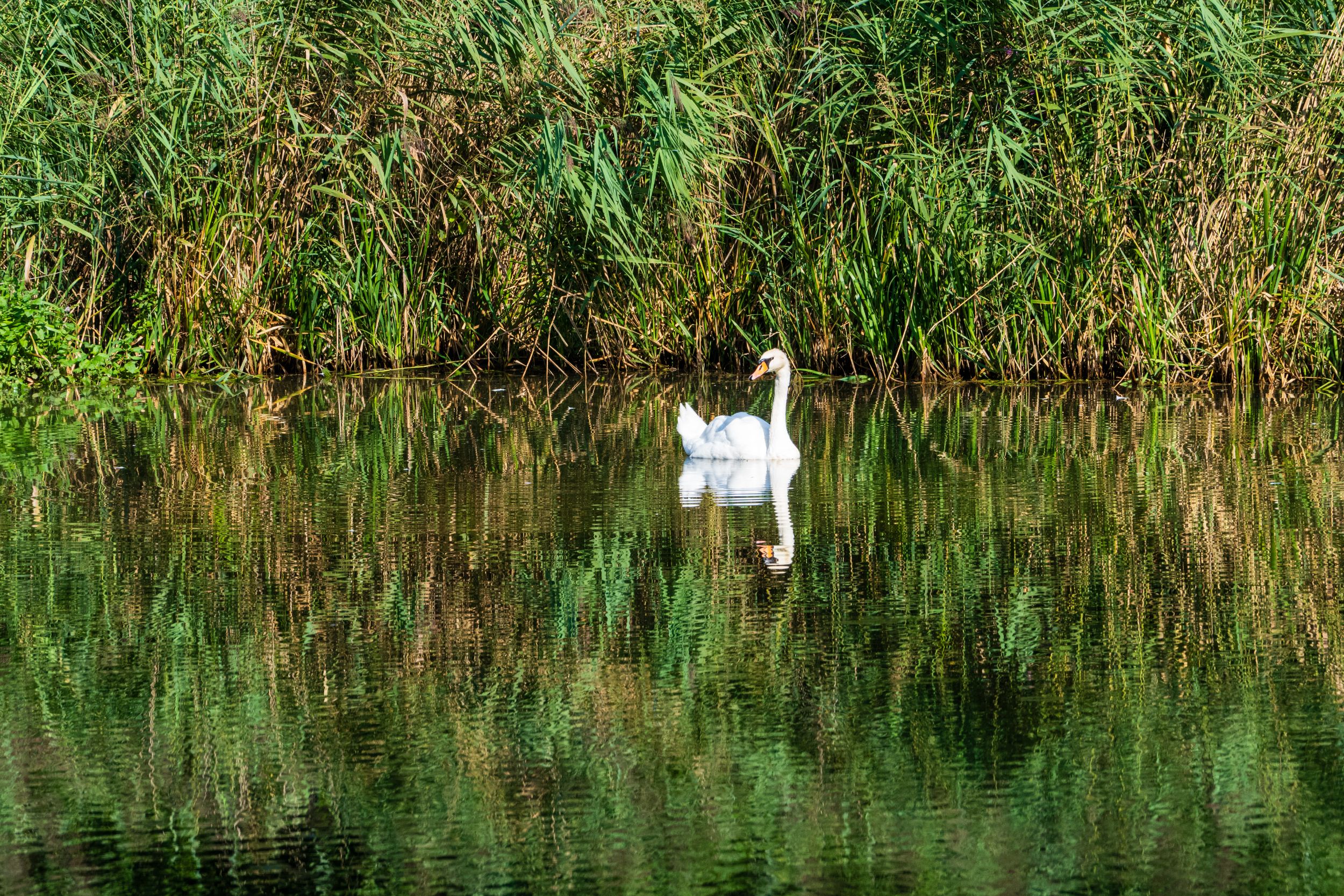 Radreise 5 Flüsse 03456