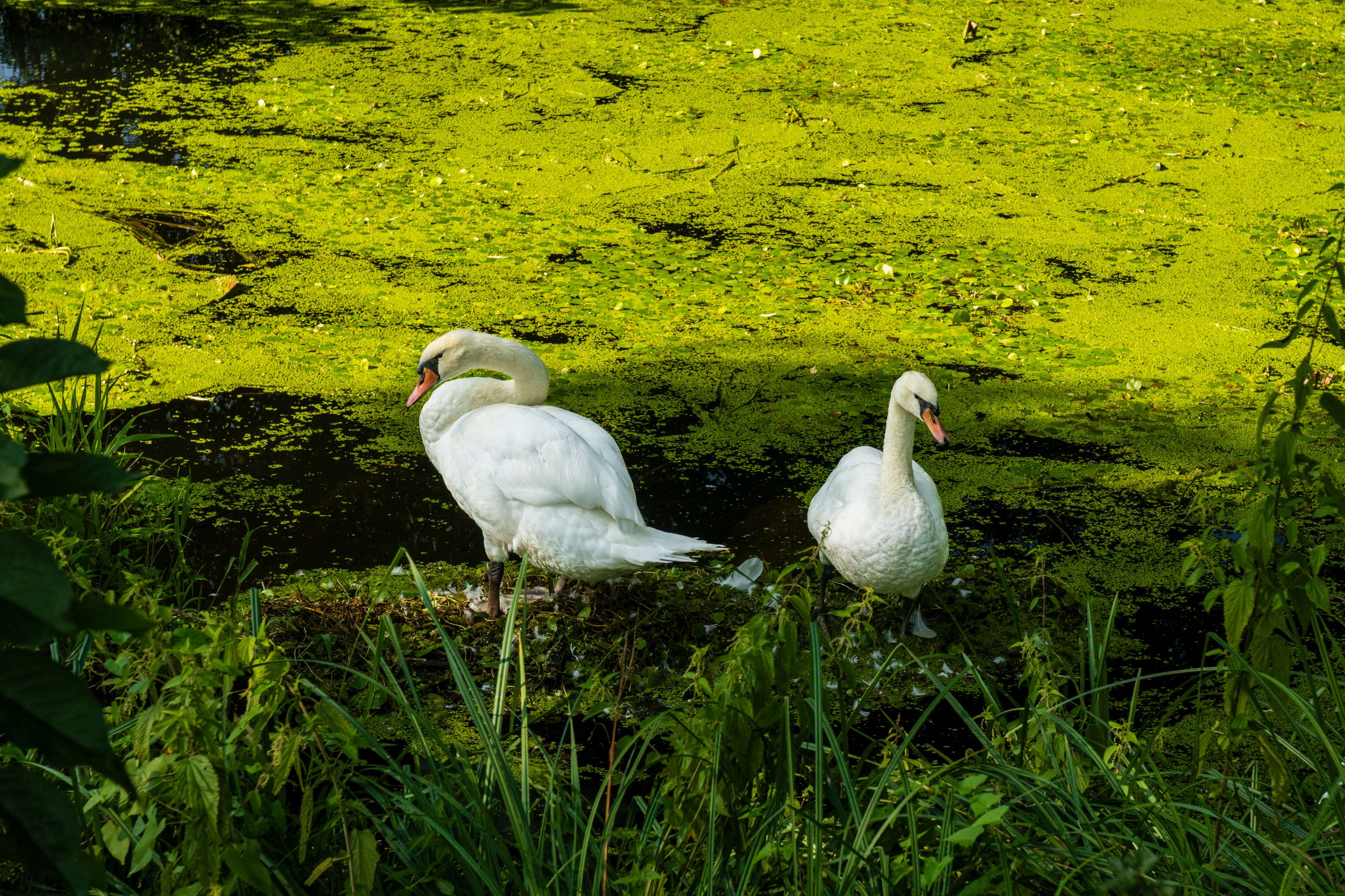 Radreise 5 Flüsse 03464