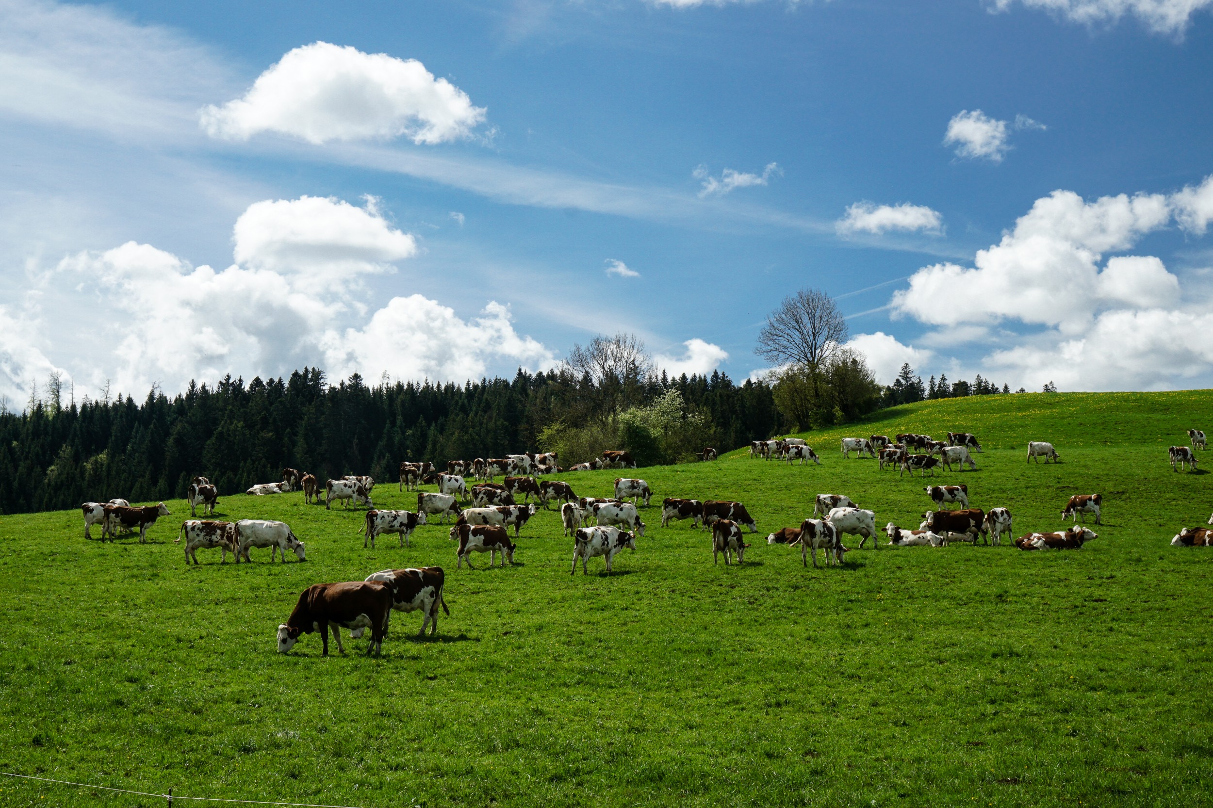 Radreise2017 Buch 05970