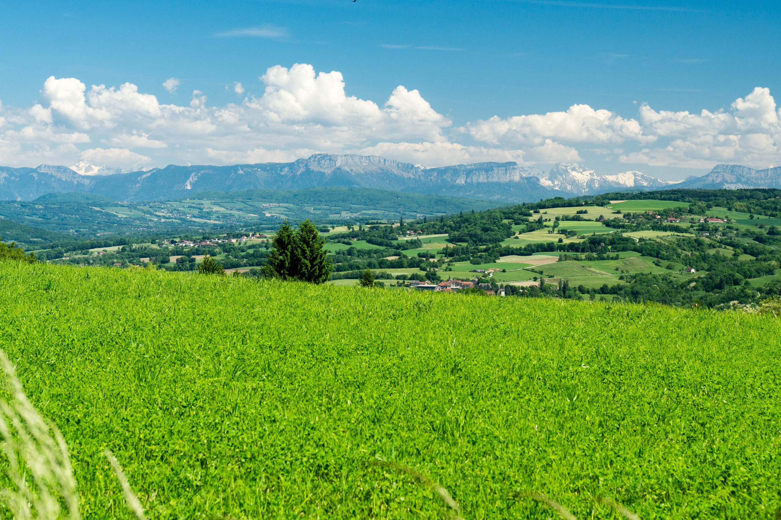 Radreise2017 Buch 06206