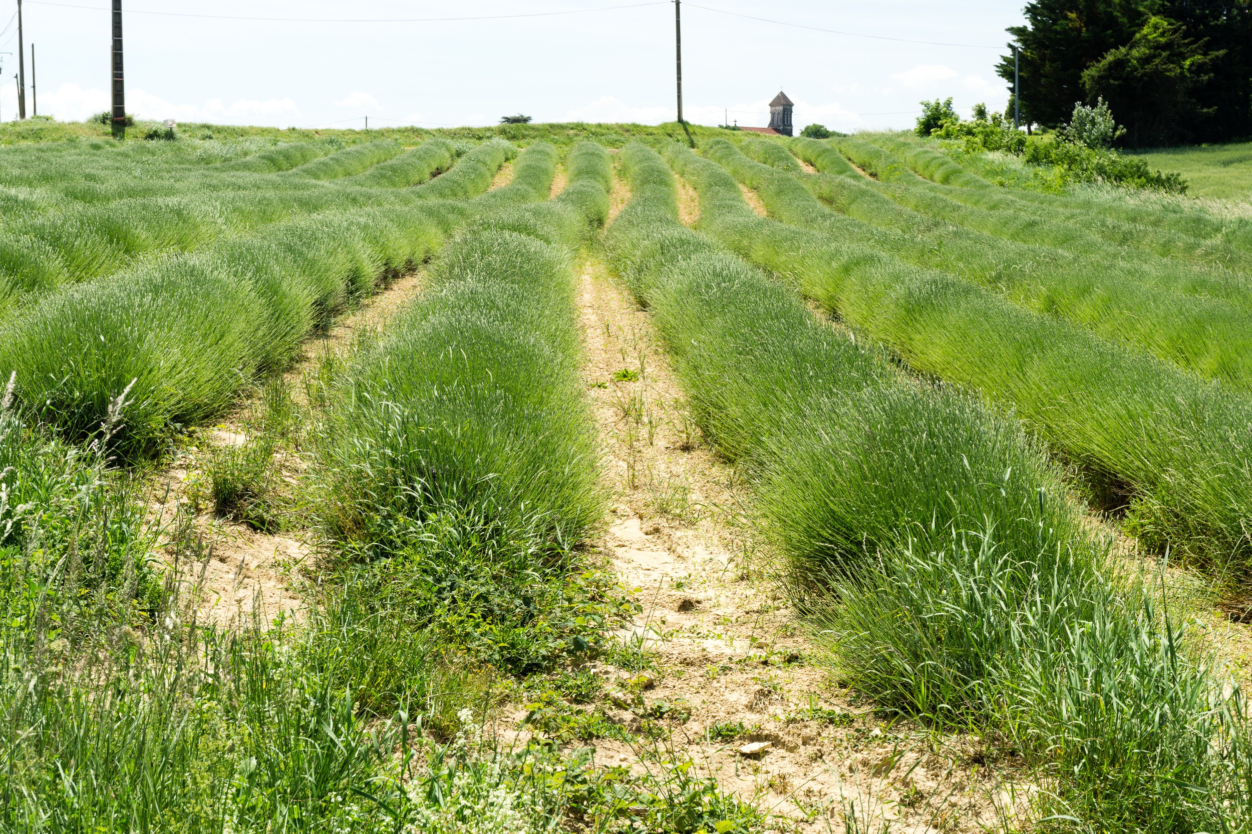 Radreise2017 Buch 08962