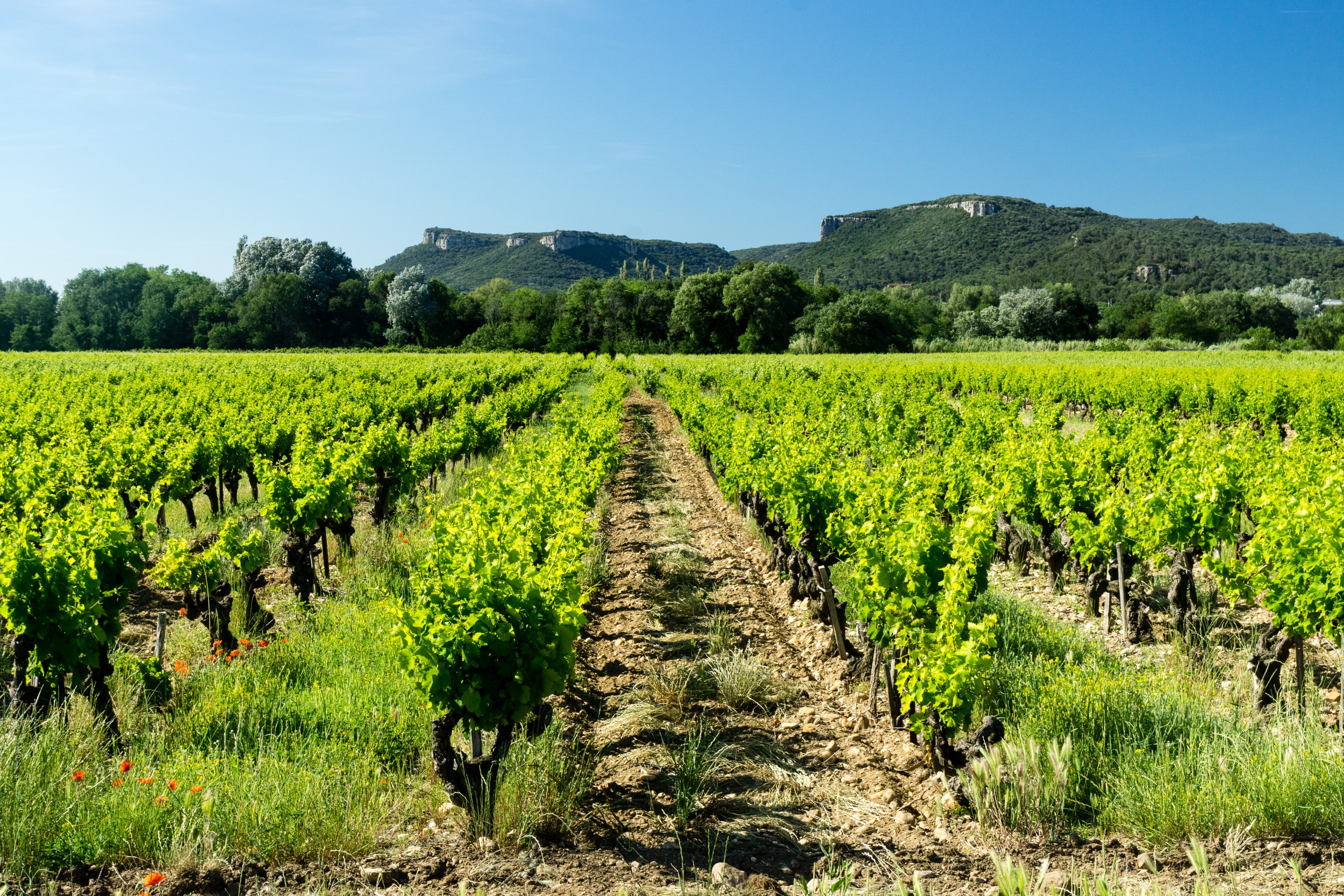 Radreise2017 Buch 09104