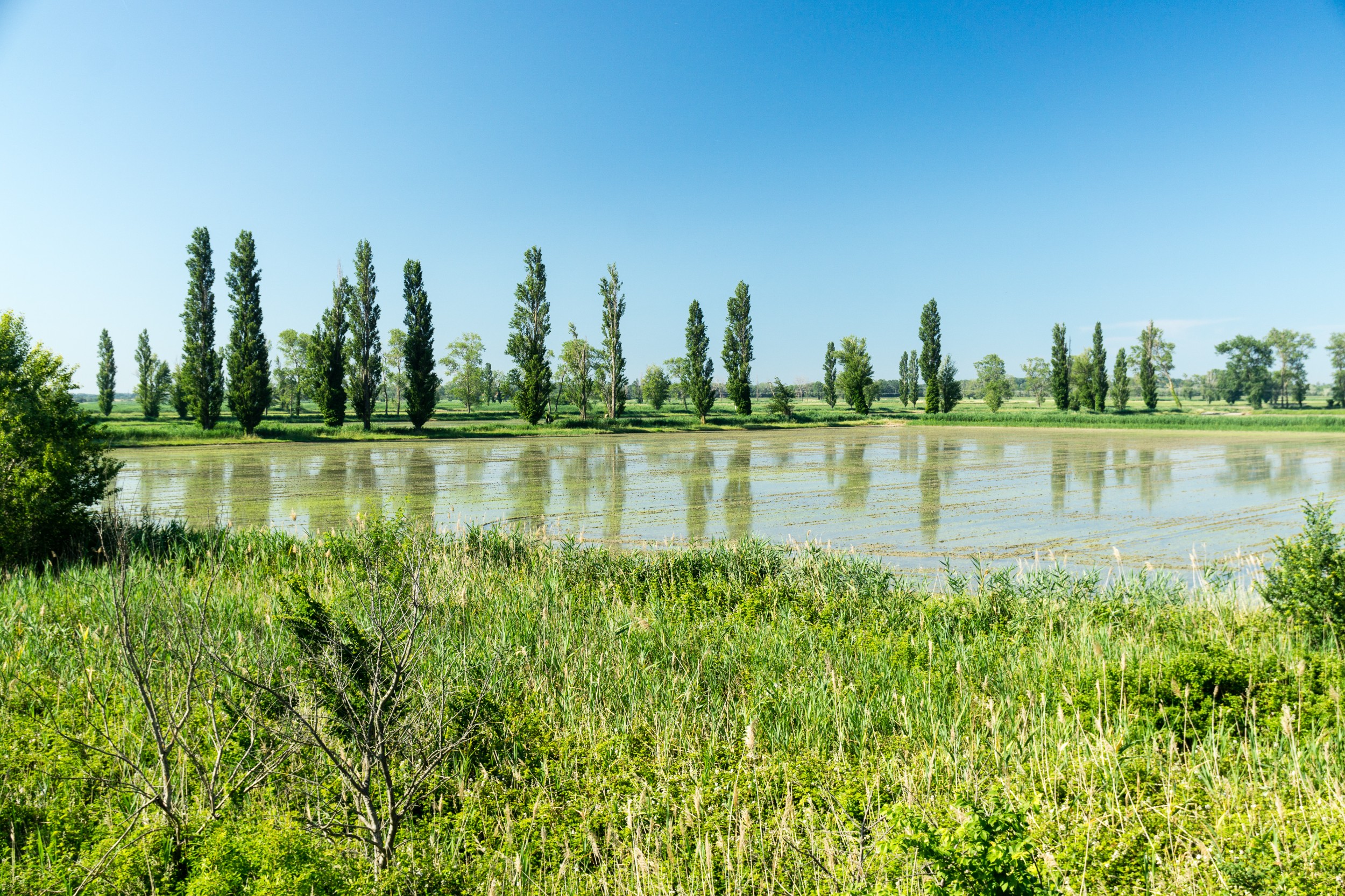 Radreise2017 Buch 09343