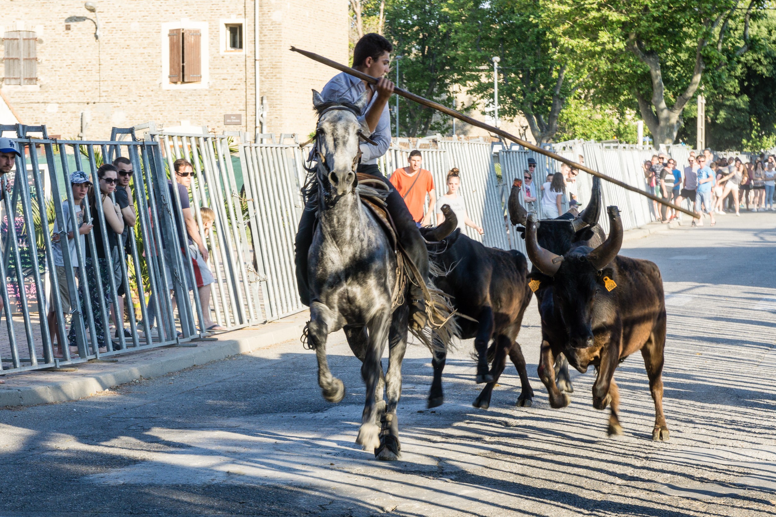 Radreise2017 Buch 09387