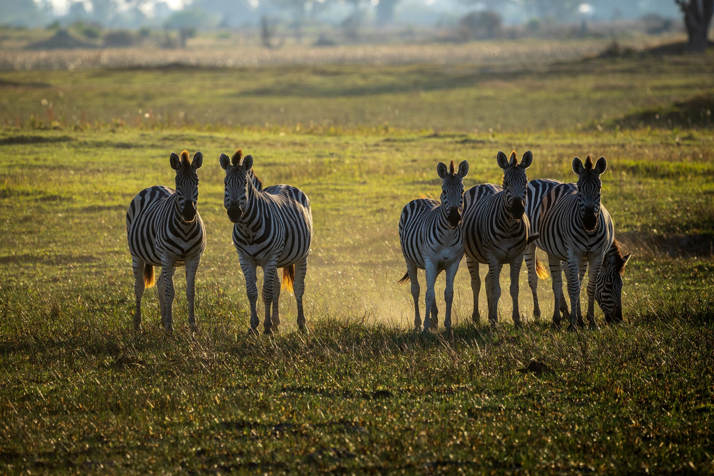 Urlaub2018 45S 01096